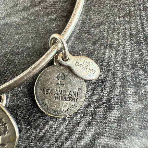 Blessed Bond Alex and Ani Goddaughter Charm Bracelet in Rafaelian Silver 2014 Se - Picture 13 of 14
